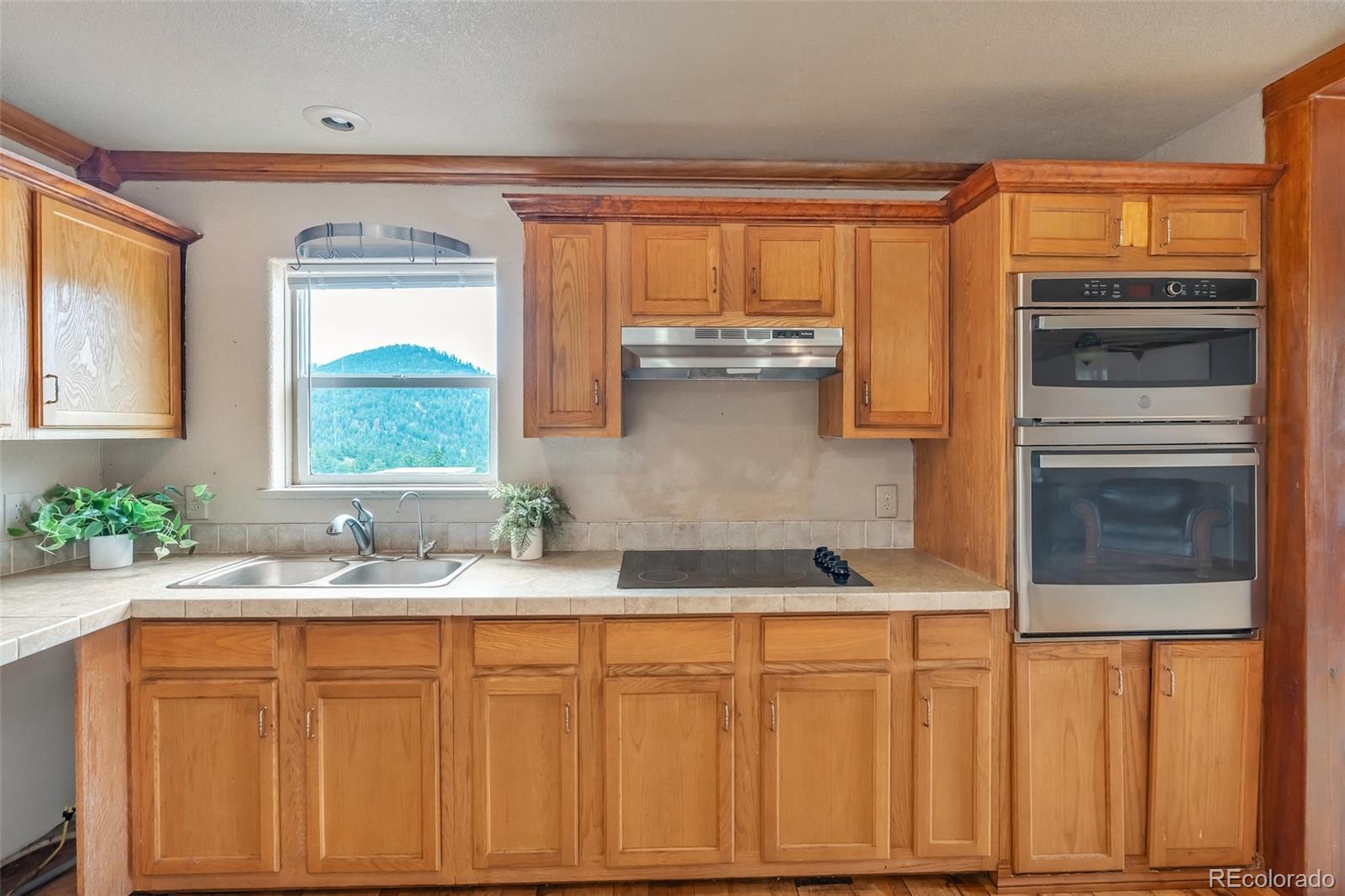 MLS Image #12 for 15659  ouray road,pine, Colorado