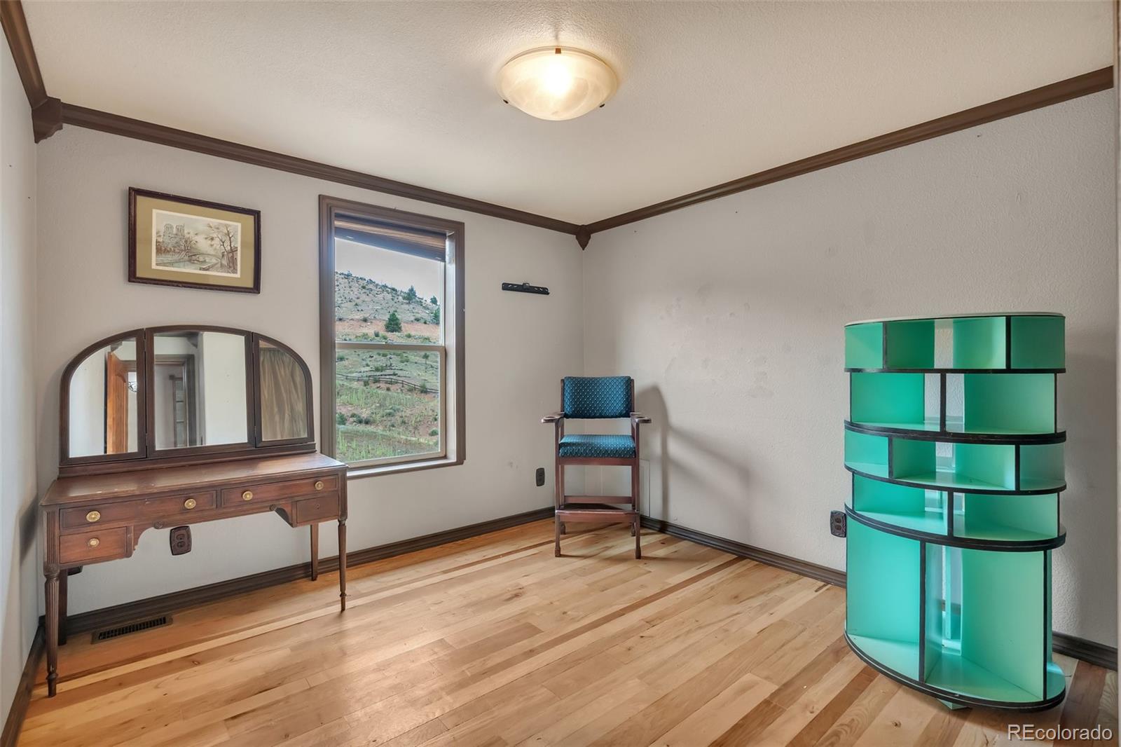 MLS Image #21 for 15659  ouray road,pine, Colorado