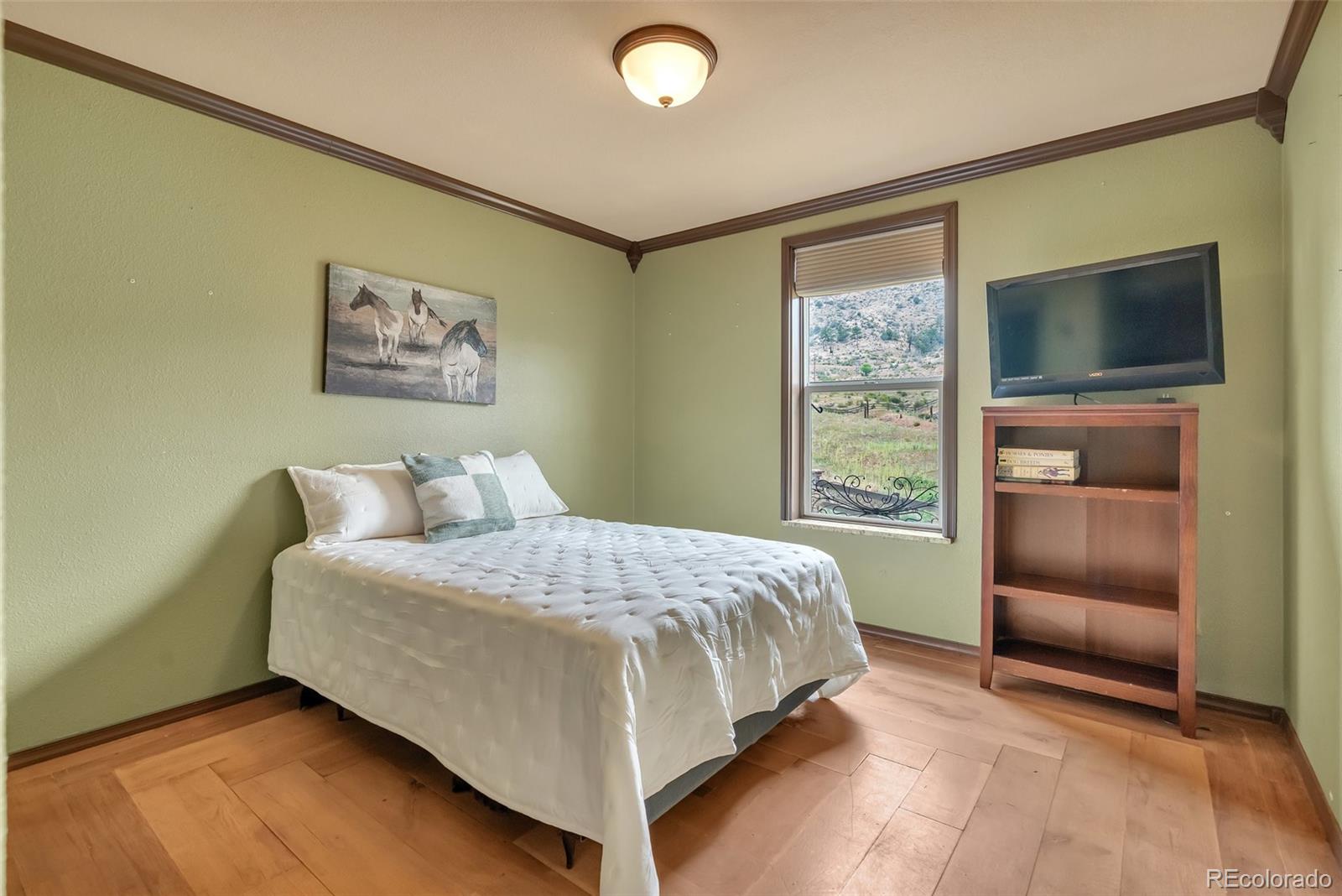MLS Image #22 for 15659  ouray road,pine, Colorado