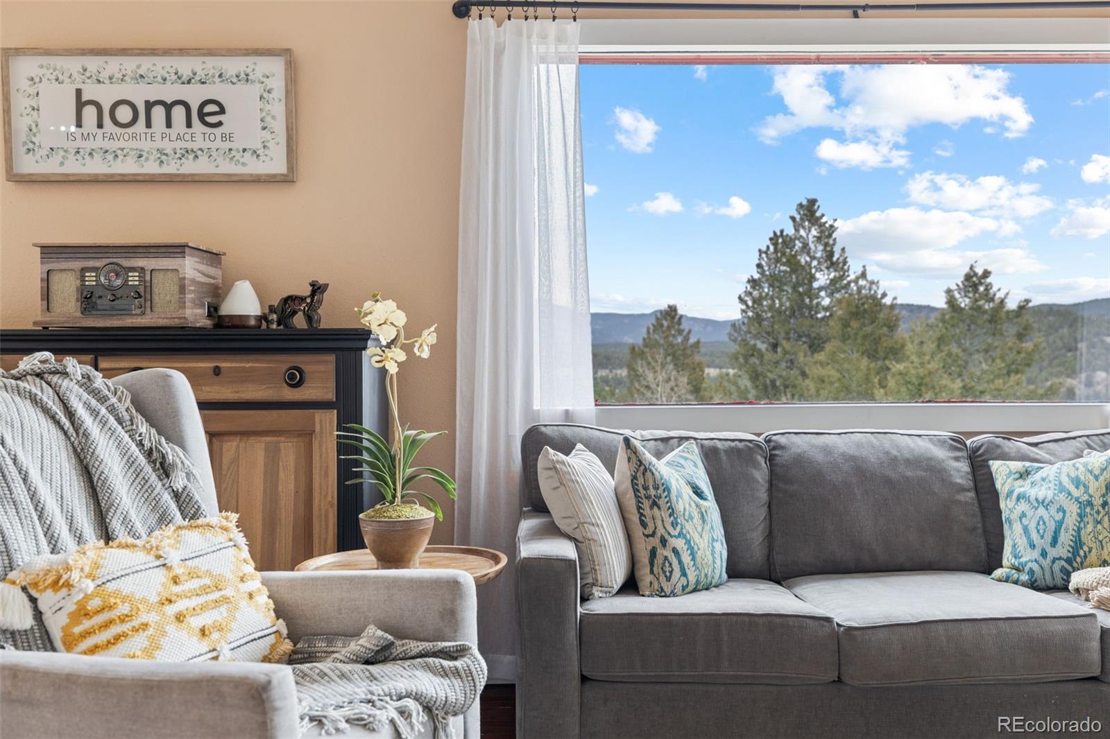 MLS Image #0 for 518  pine drive,bailey, Colorado