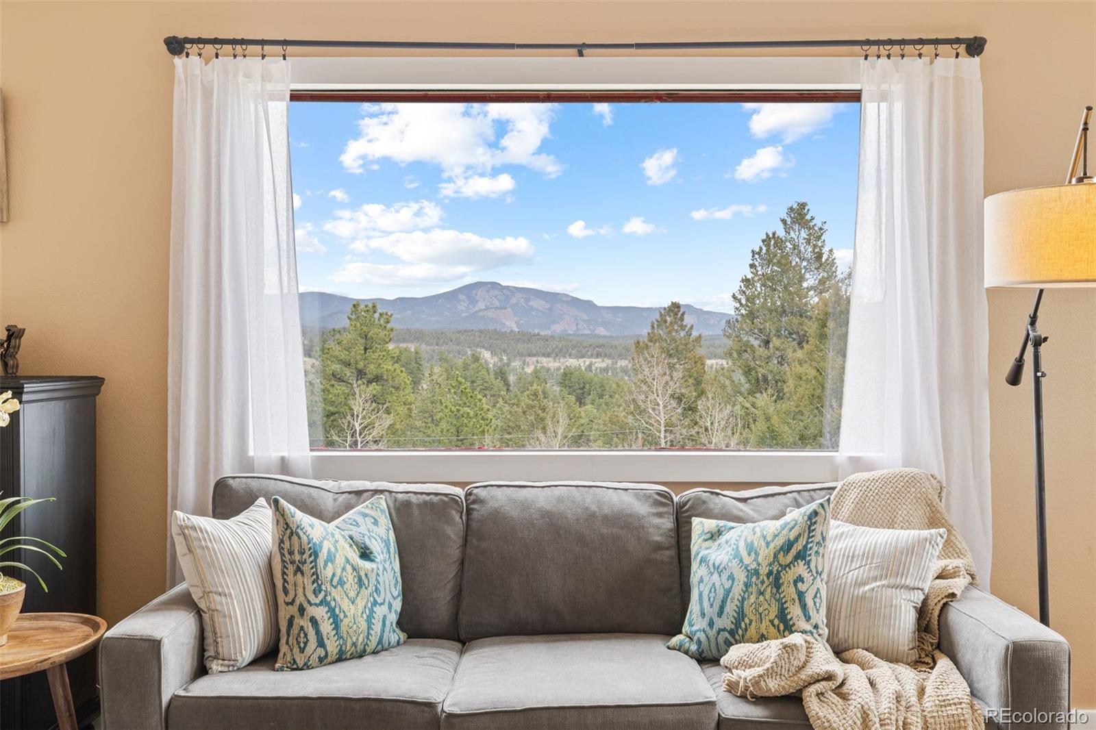 MLS Image #12 for 518  pine drive,bailey, Colorado