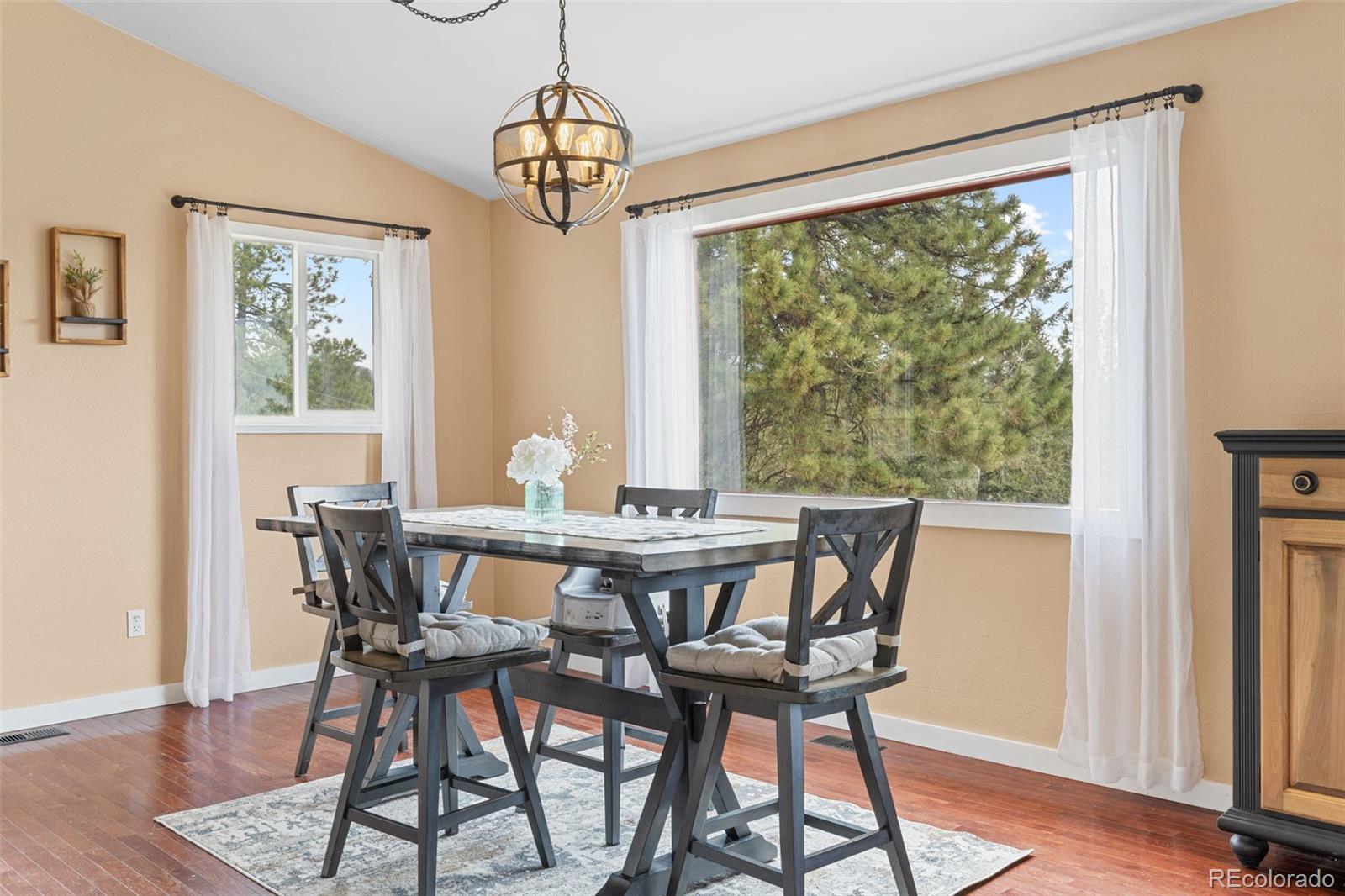 MLS Image #17 for 518  pine drive,bailey, Colorado