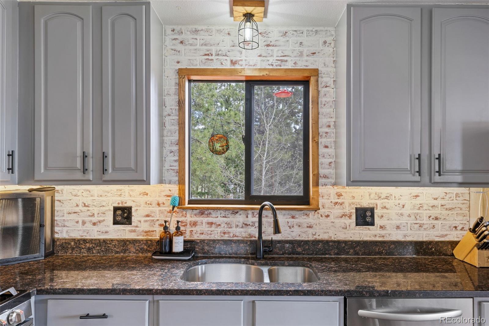 MLS Image #22 for 518  pine drive,bailey, Colorado