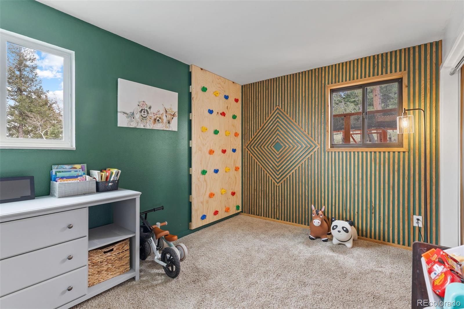 MLS Image #26 for 518  pine drive,bailey, Colorado