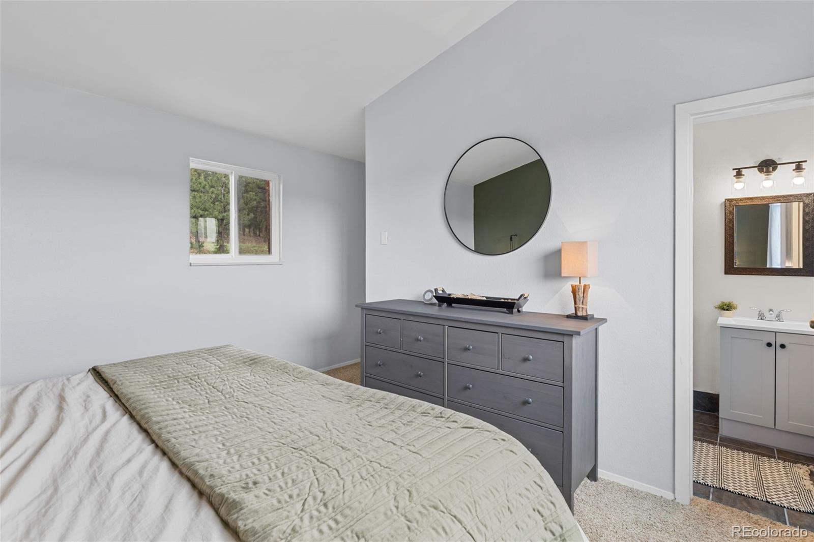 MLS Image #33 for 518  pine drive,bailey, Colorado