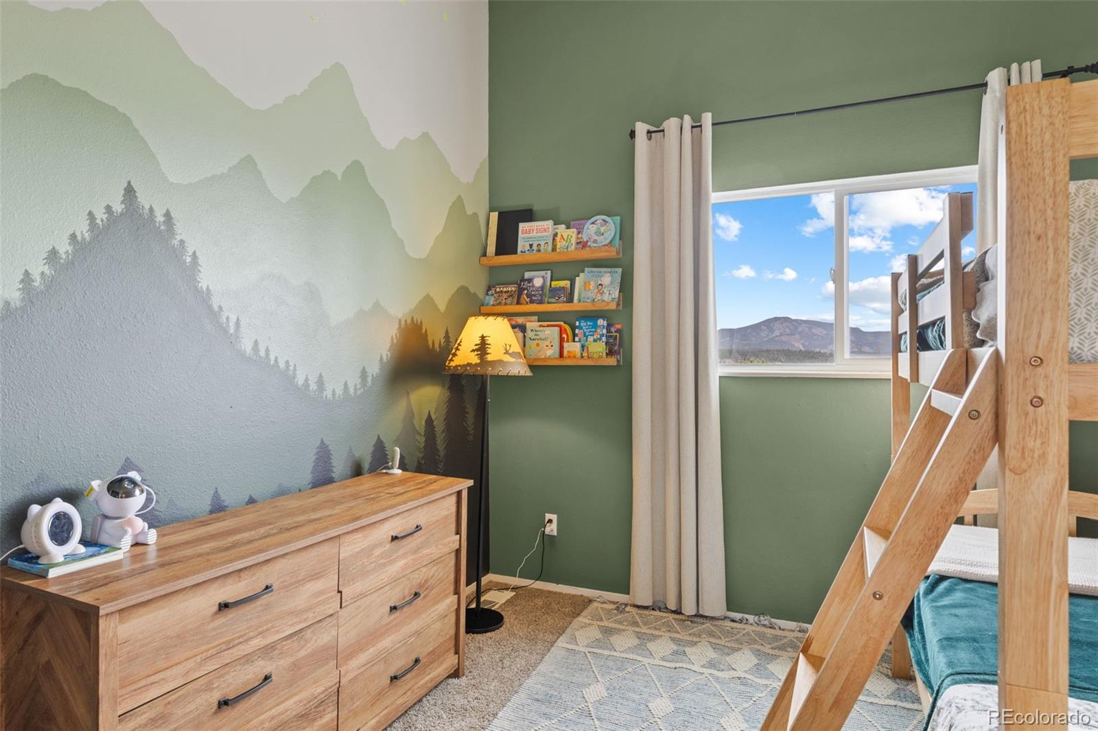MLS Image #37 for 518  pine drive,bailey, Colorado