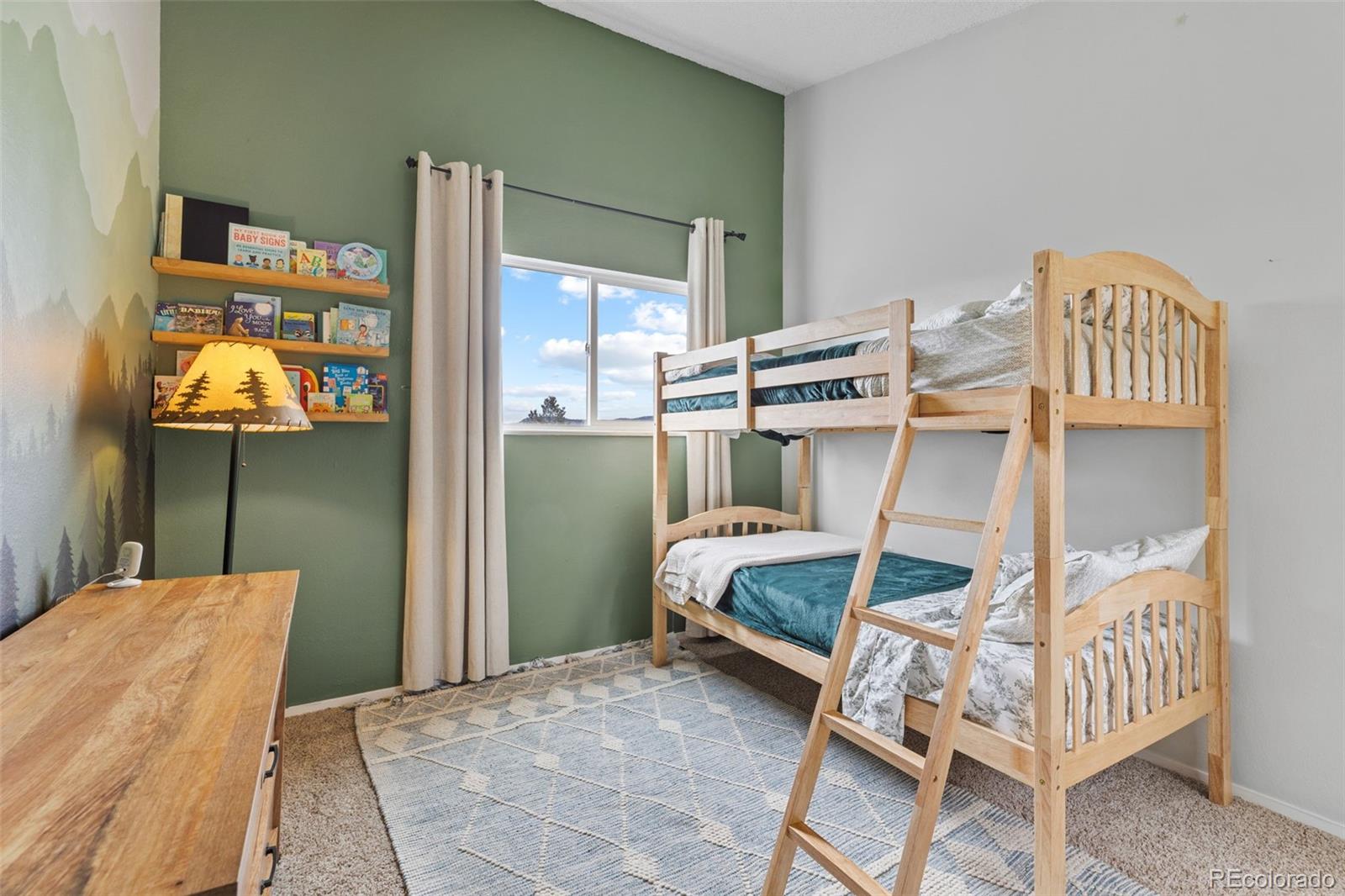 MLS Image #38 for 518  pine drive,bailey, Colorado