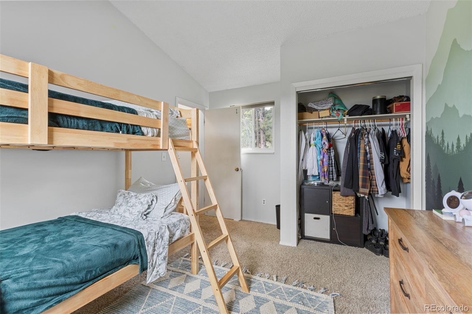 MLS Image #39 for 518  pine drive,bailey, Colorado