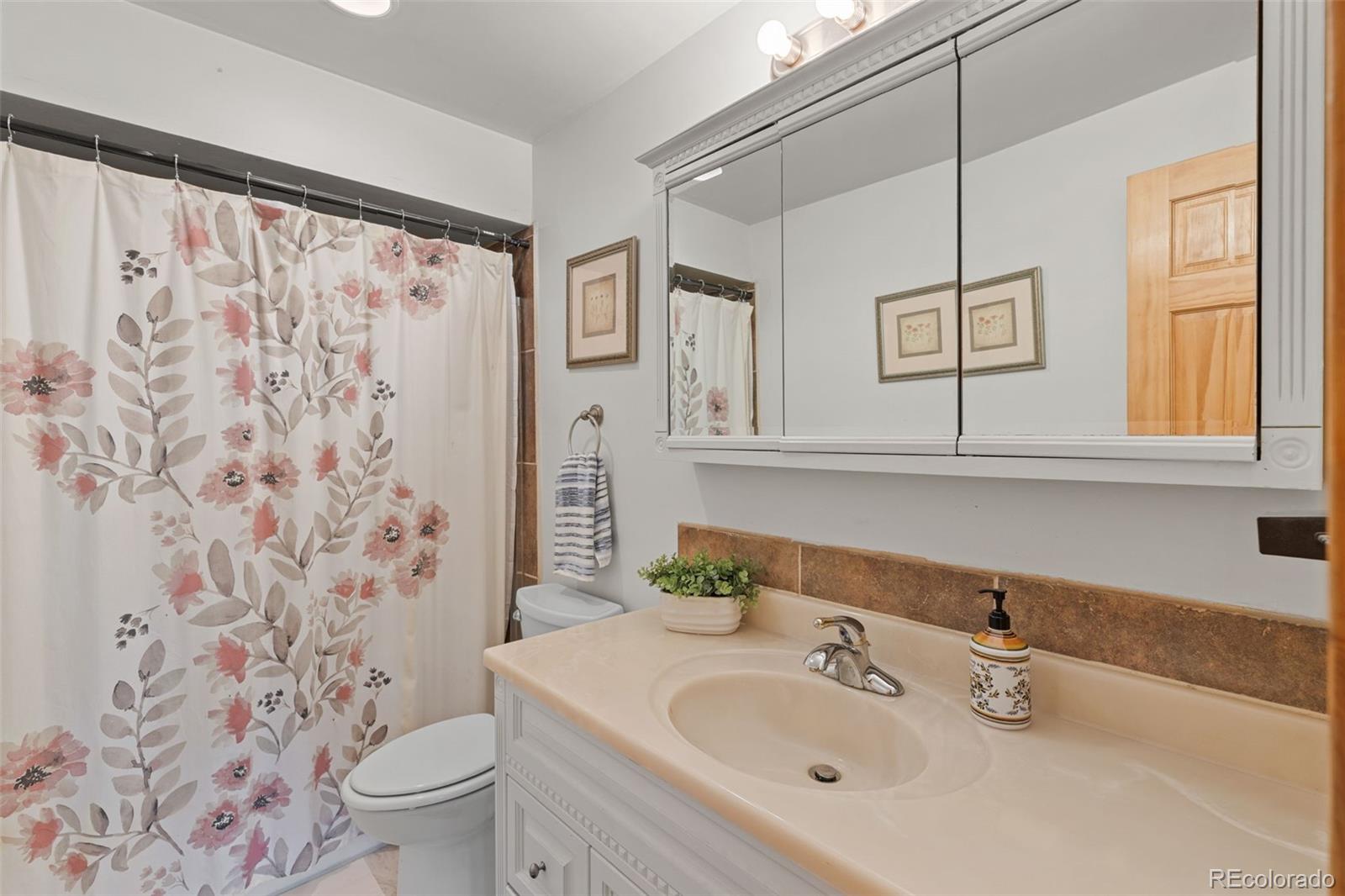 MLS Image #45 for 518  pine drive,bailey, Colorado