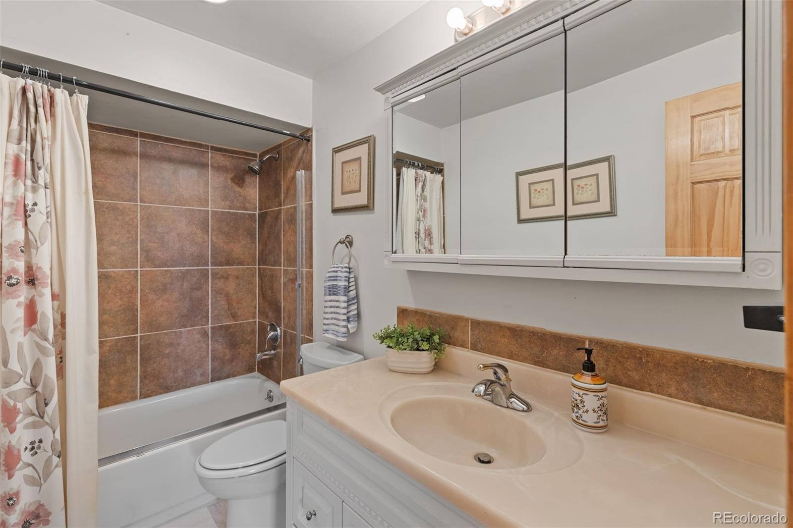 MLS Image #46 for 518  pine drive,bailey, Colorado