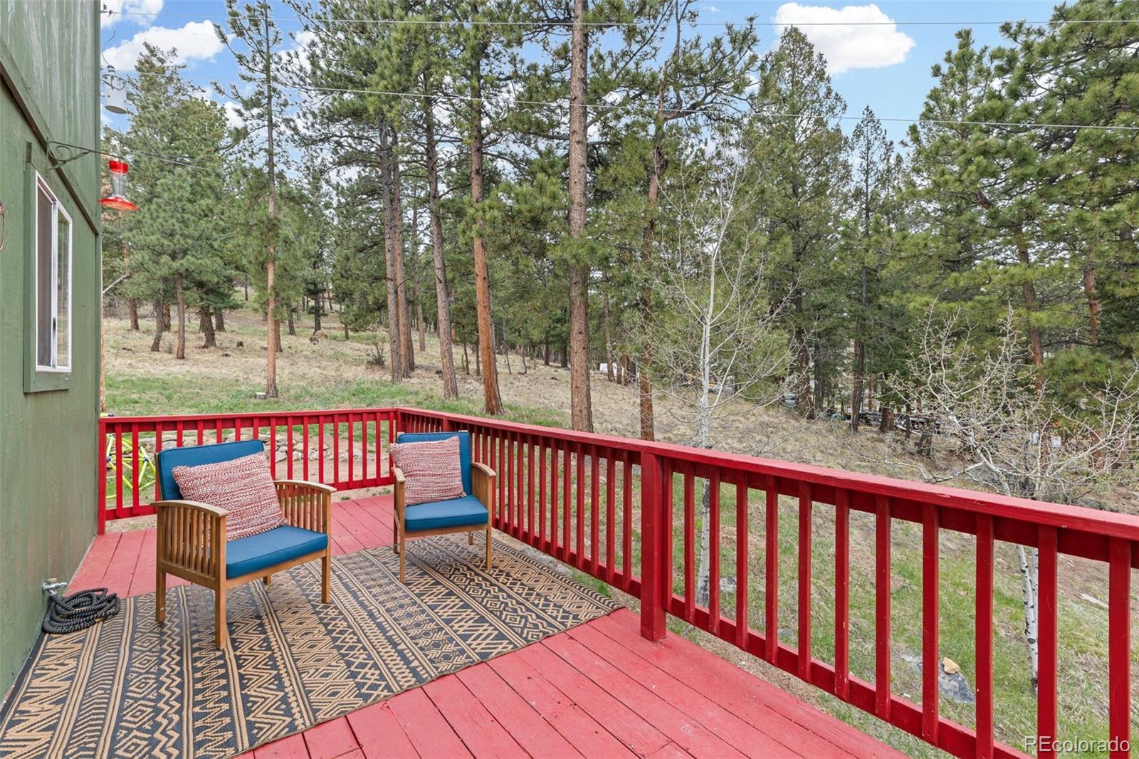 MLS Image #6 for 518  pine drive,bailey, Colorado