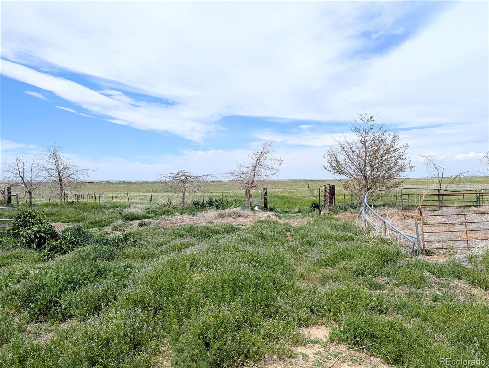 MLS Image #46 for 11897  roxburg street,strasburg, Colorado