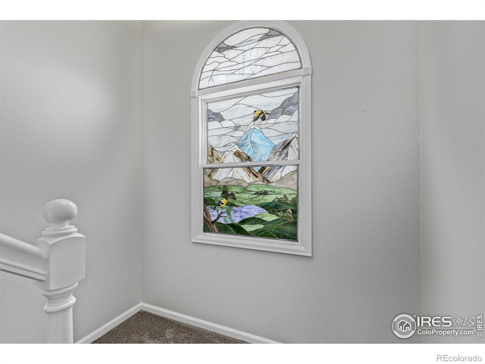 MLS Image #21 for 5137 w 12th street,greeley, Colorado