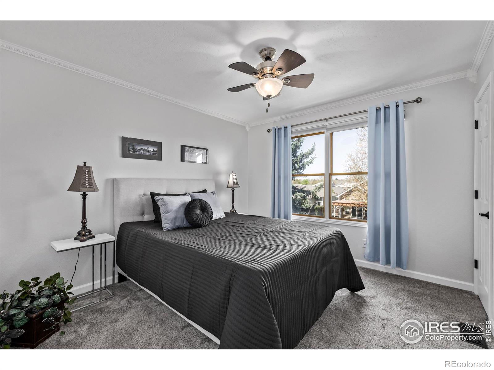 MLS Image #29 for 5137 w 12th street,greeley, Colorado