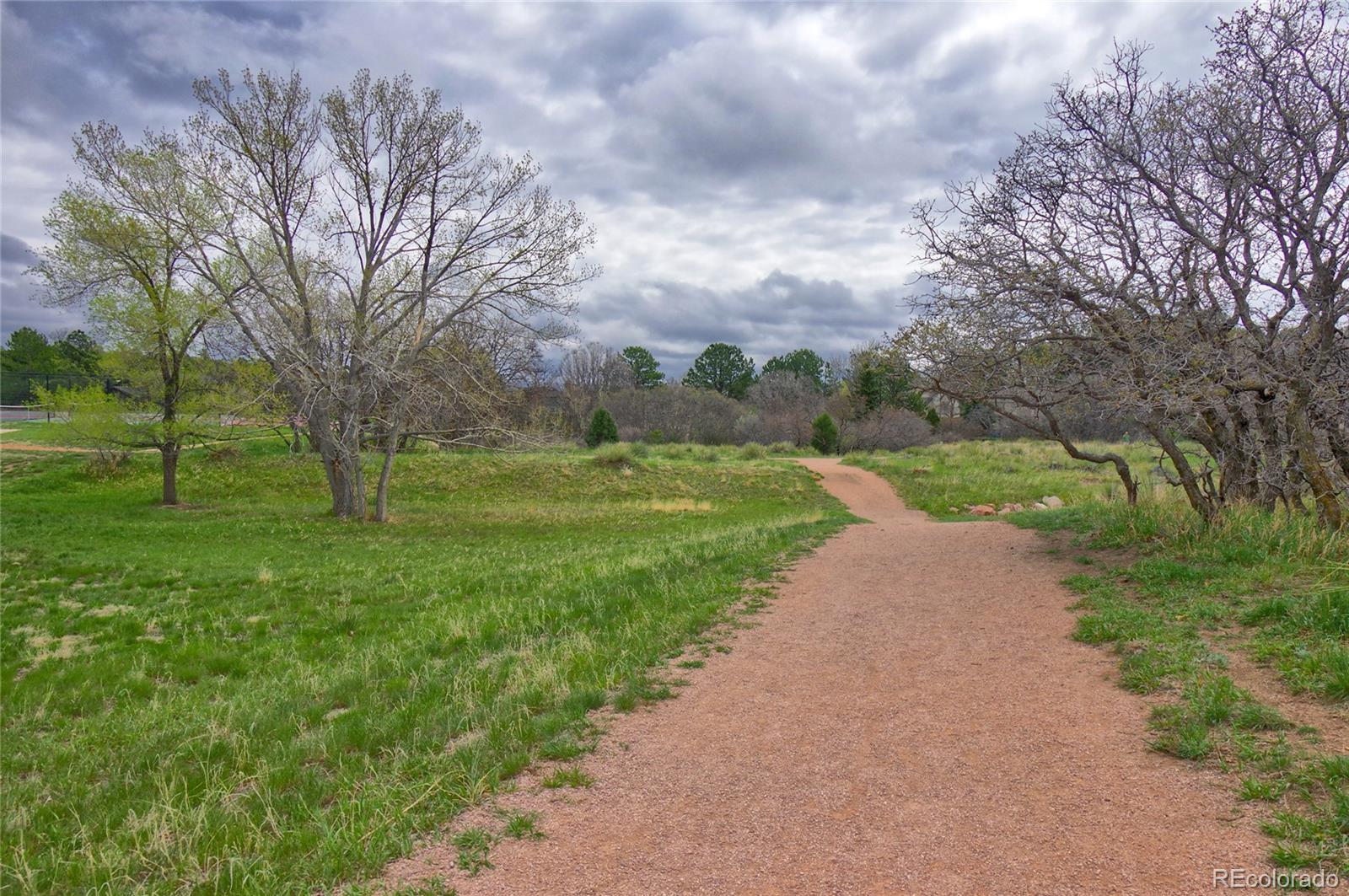 MLS Image #46 for 770  allegheny drive,colorado springs, Colorado