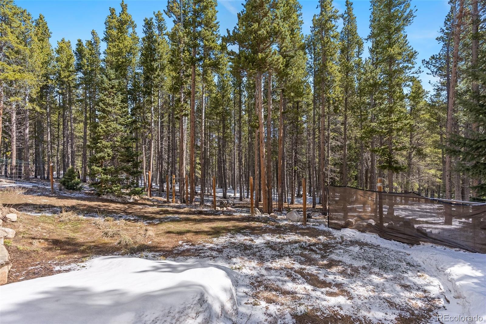 MLS Image #20 for 140  beaver road,idaho springs, Colorado