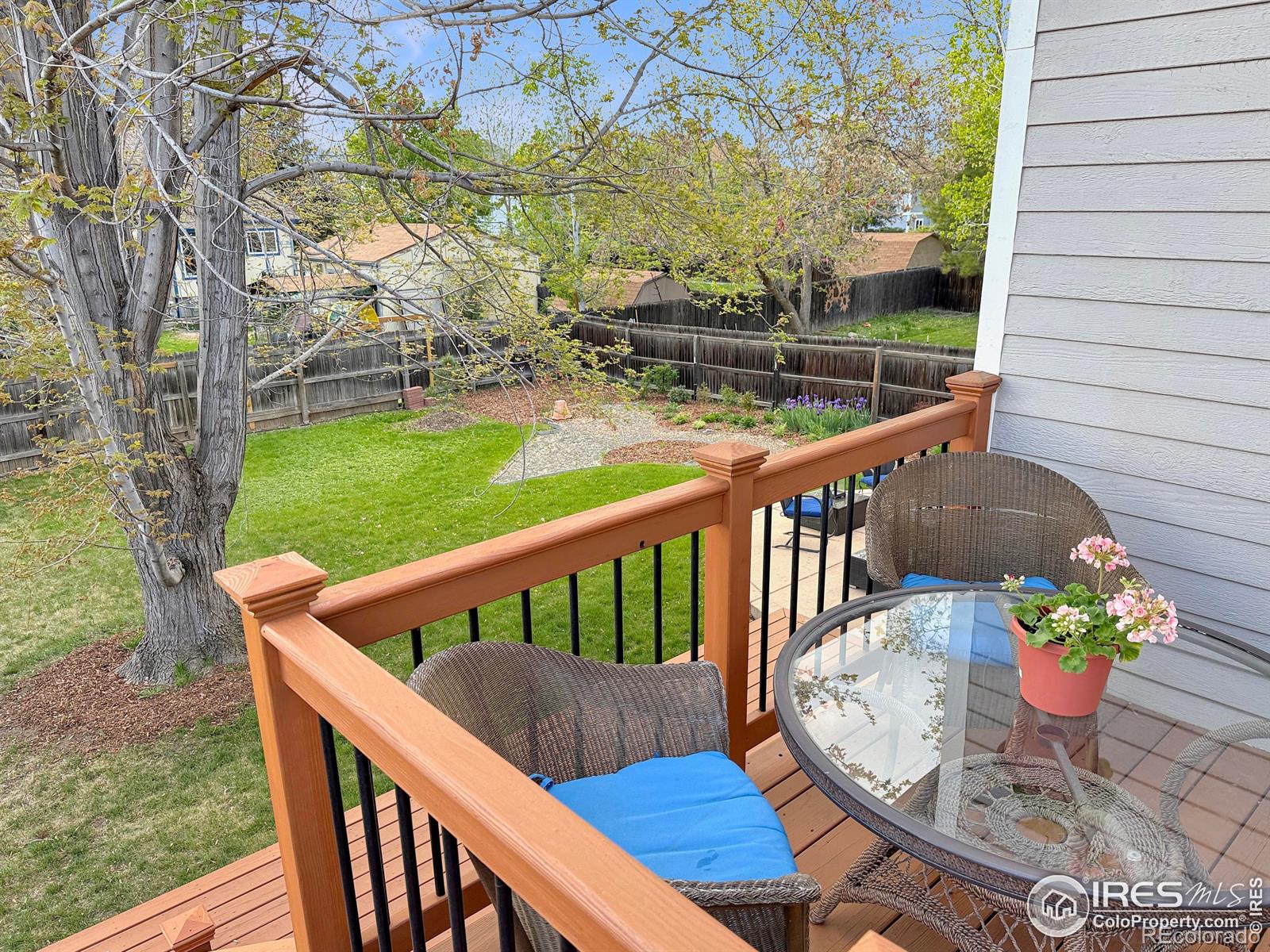 MLS Image #23 for 709  buchanan lane,longmont, Colorado