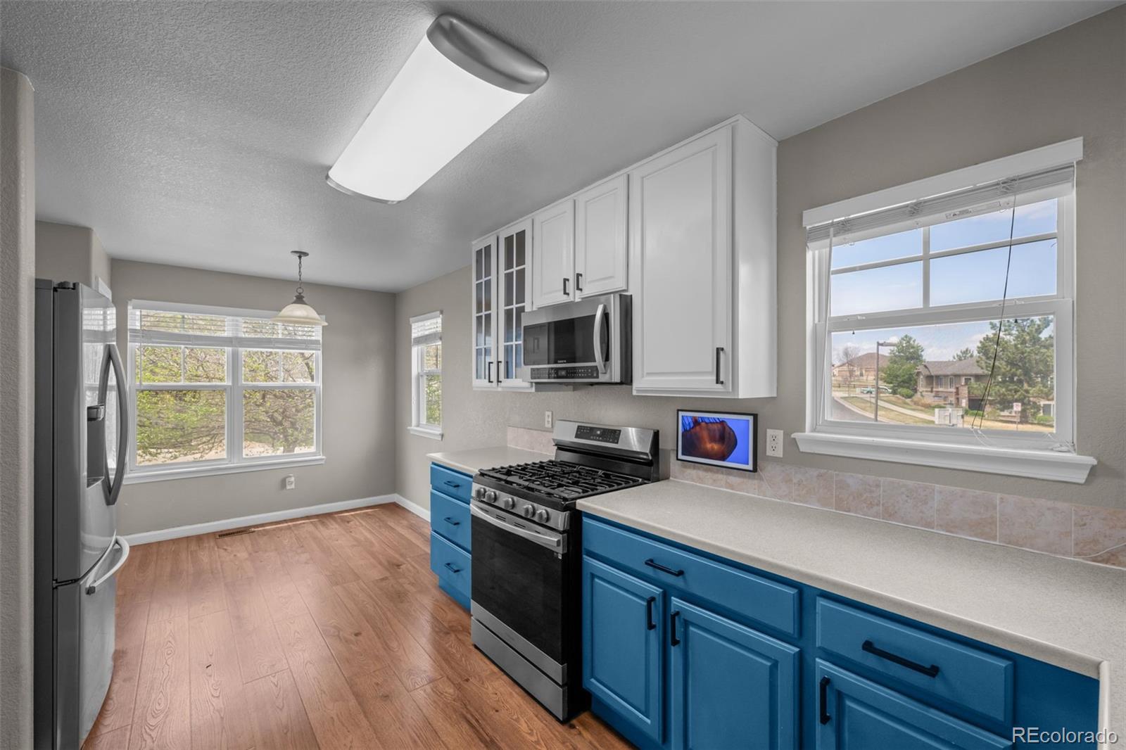 MLS Image #14 for 22062 e irish drive,aurora, Colorado