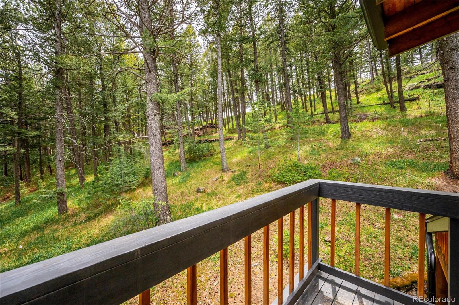 MLS Image #24 for 25808  sunrise lane,golden, Colorado