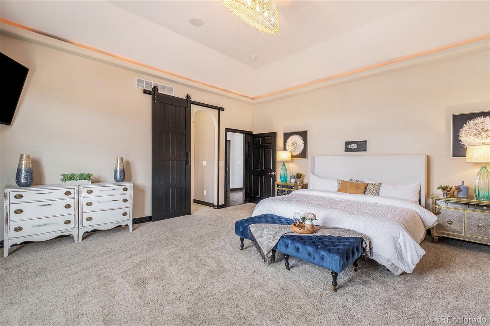 MLS Image #25 for 1496  eagle court,windsor, Colorado
