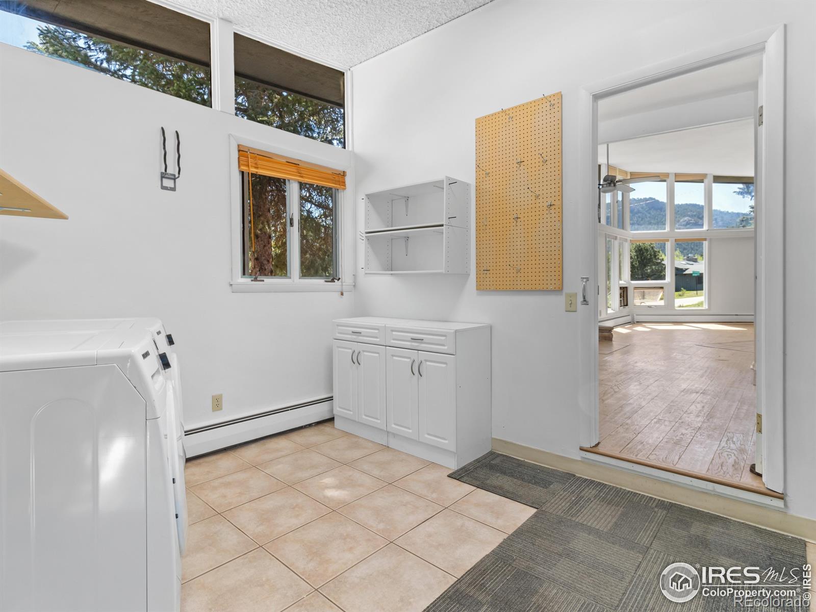 MLS Image #24 for 1411  vail court,estes park, Colorado