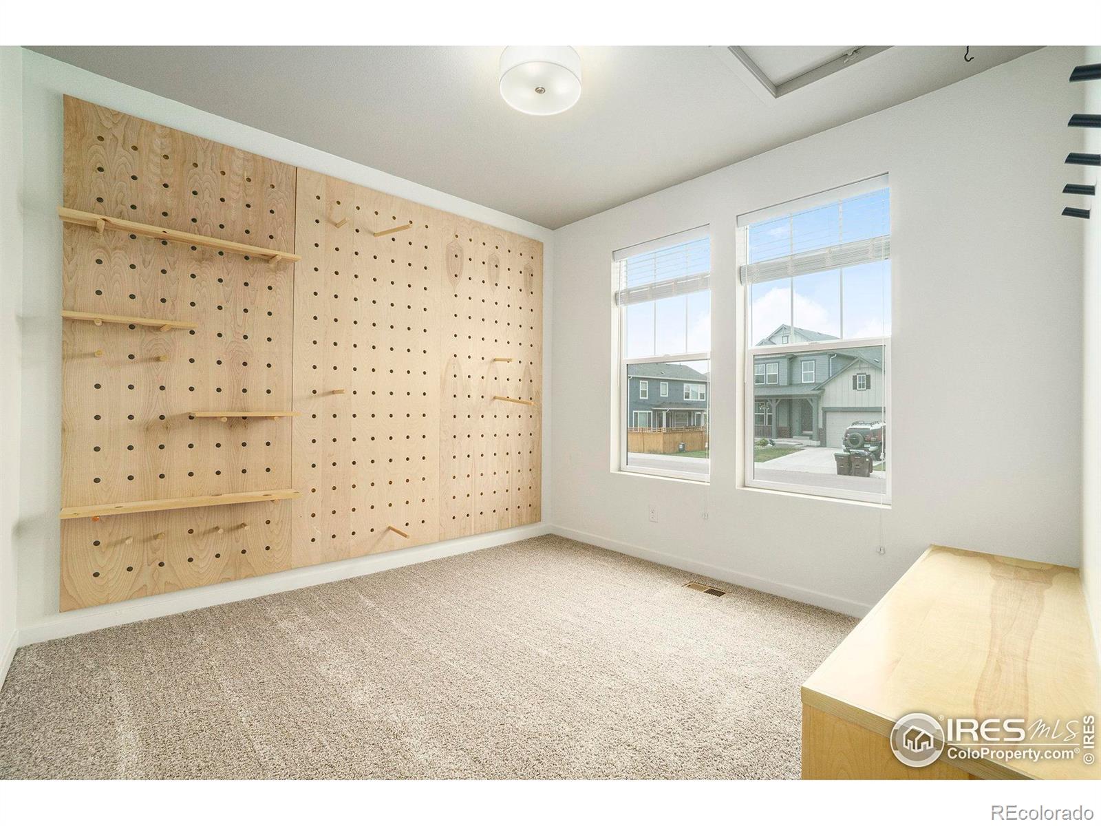 MLS Image #12 for 5260  2nd avenue,timnath, Colorado