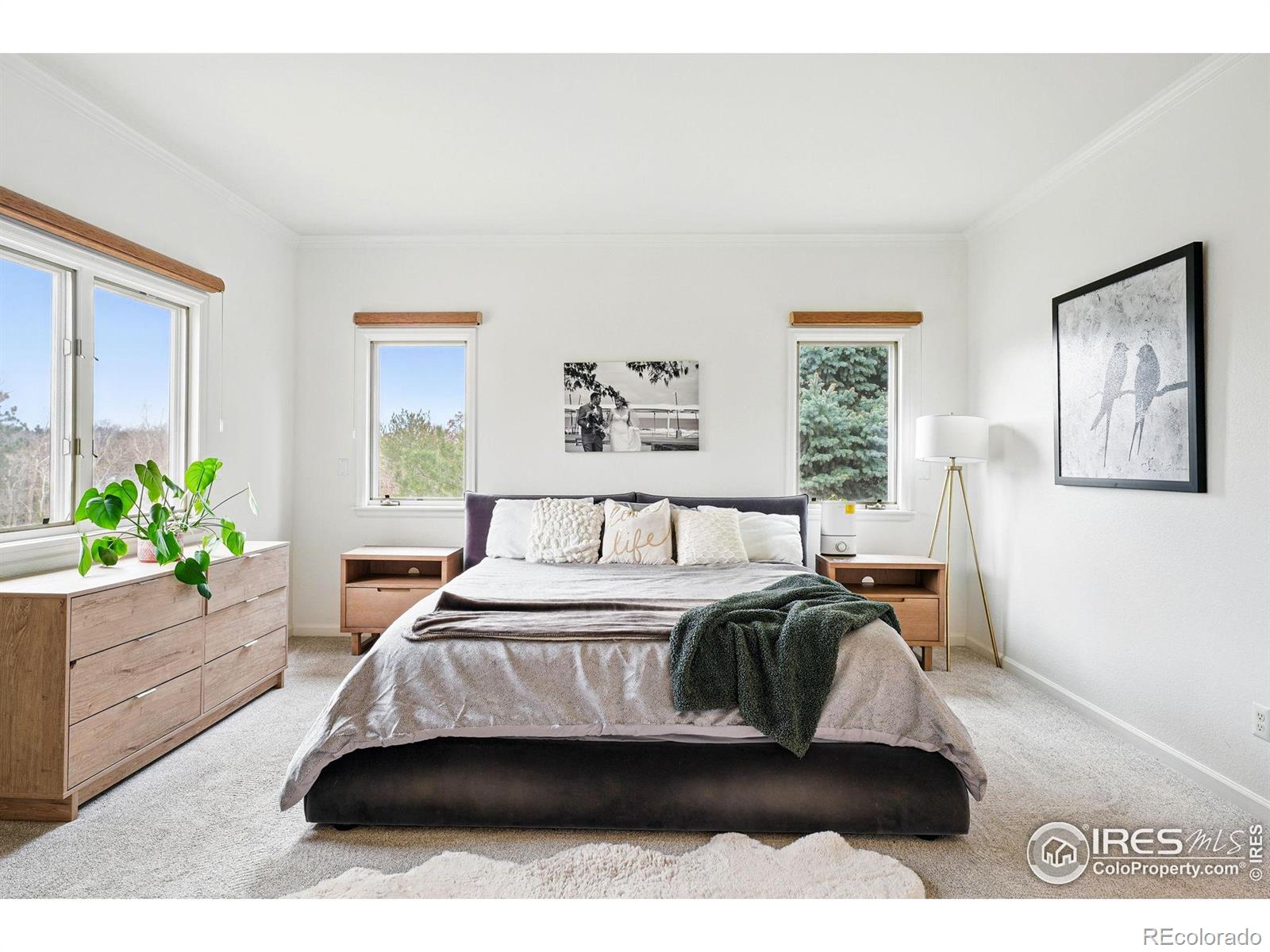 MLS Image #6 for 4212 e orchard place,centennial, Colorado