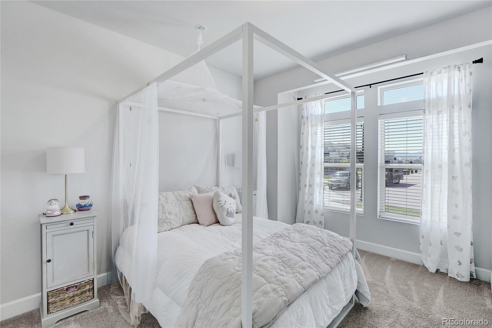 MLS Image #5 for 5889  carrick lane,colorado springs, Colorado
