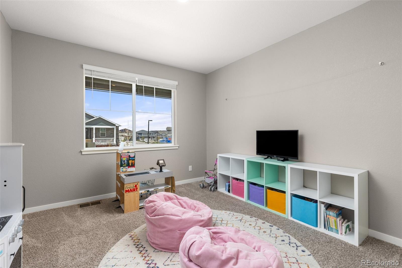MLS Image #8 for 2040  rosette place,castle rock, Colorado