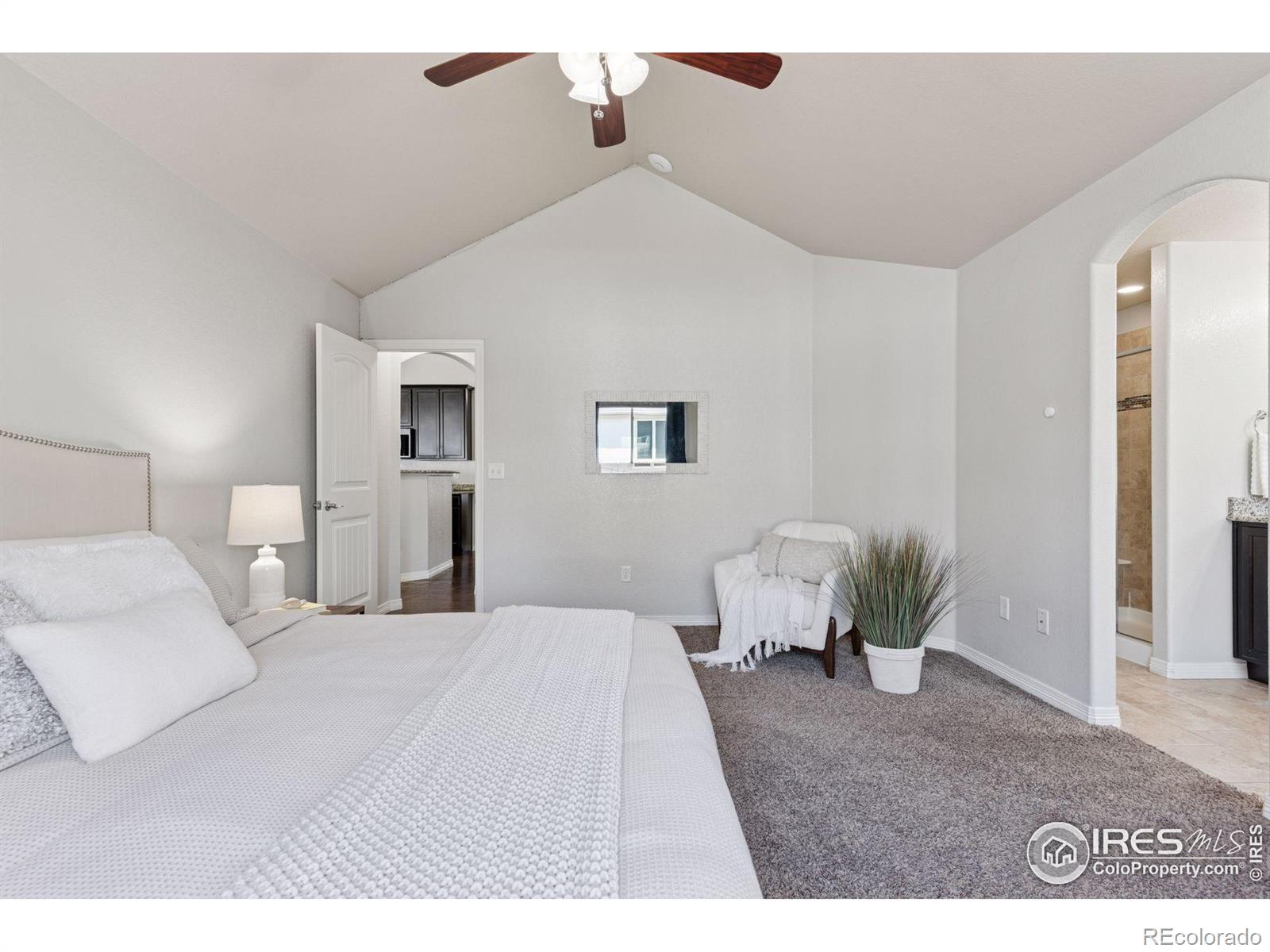 MLS Image #17 for 9137  harlequin circle,frederick, Colorado