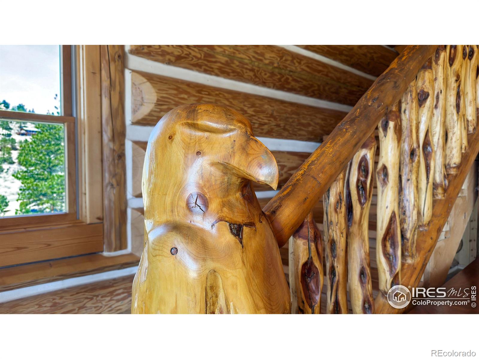 MLS Image #12 for 142  springmeadow way,red feather lakes, Colorado