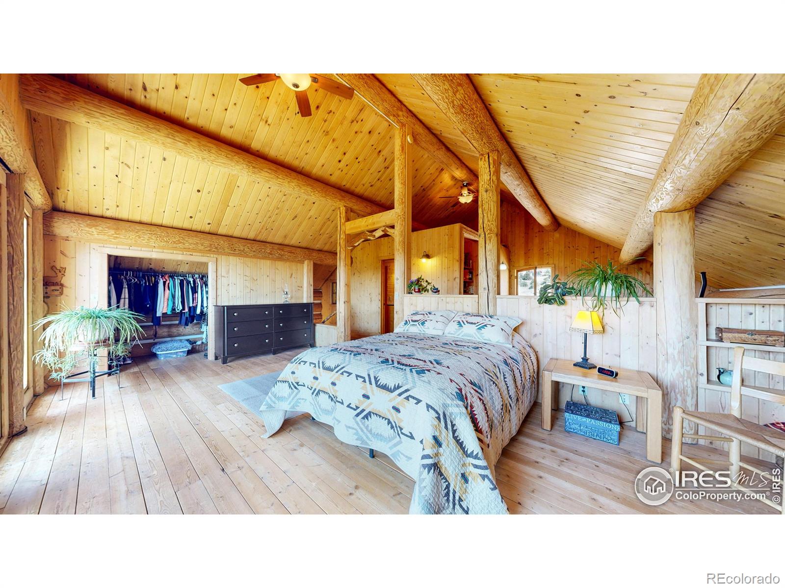 MLS Image #14 for 142  springmeadow way,red feather lakes, Colorado