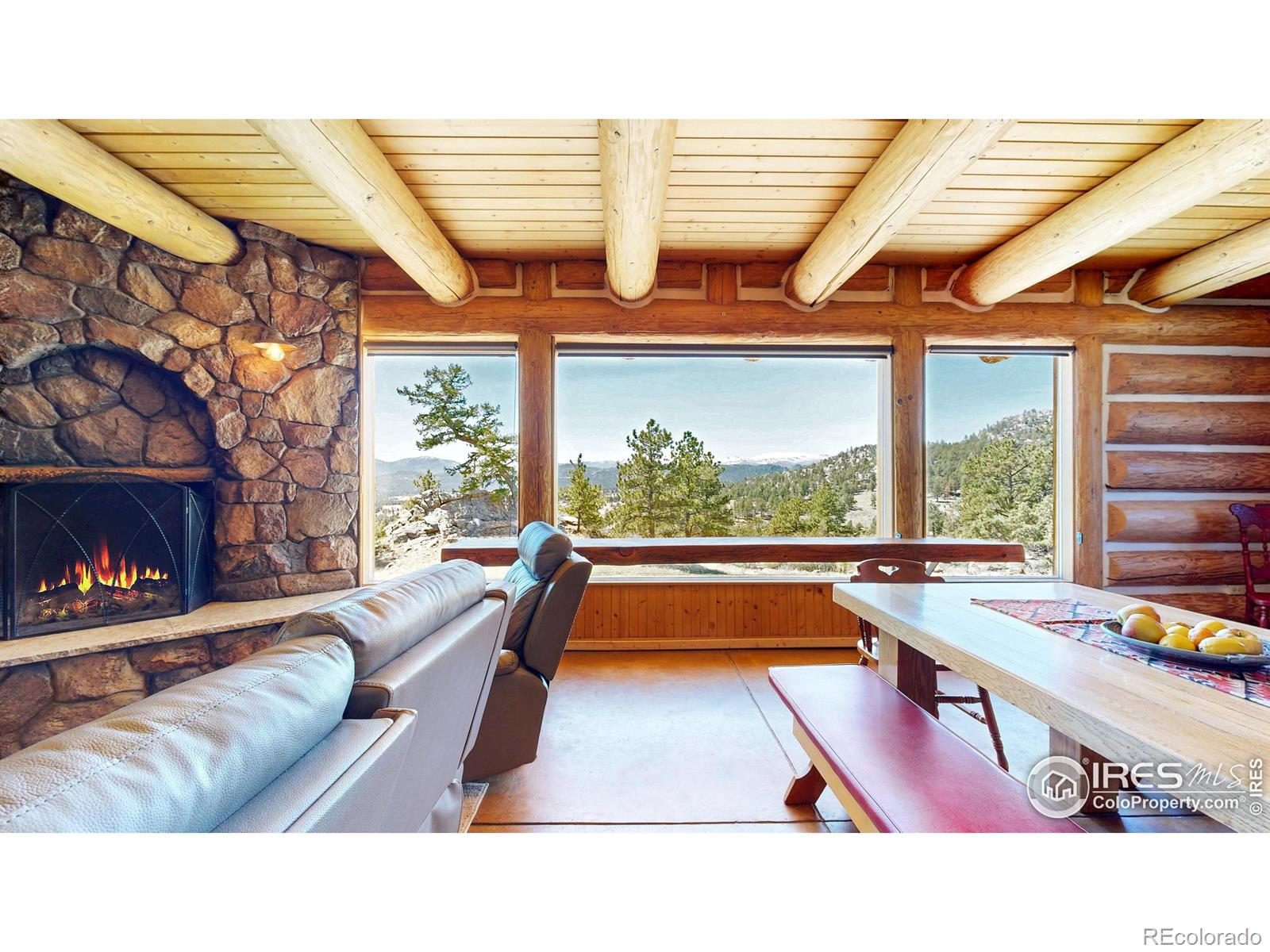 MLS Image #8 for 142  springmeadow way,red feather lakes, Colorado