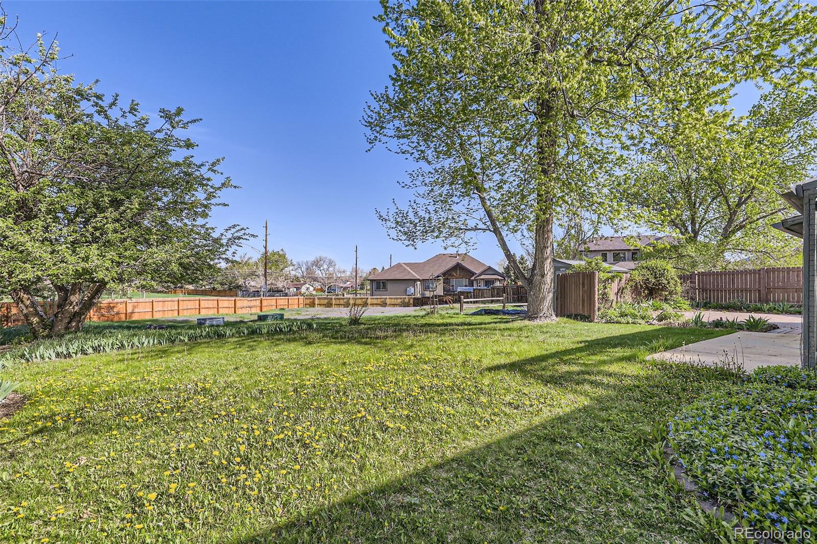 MLS Image #5 for 547 s flower street,lakewood, Colorado