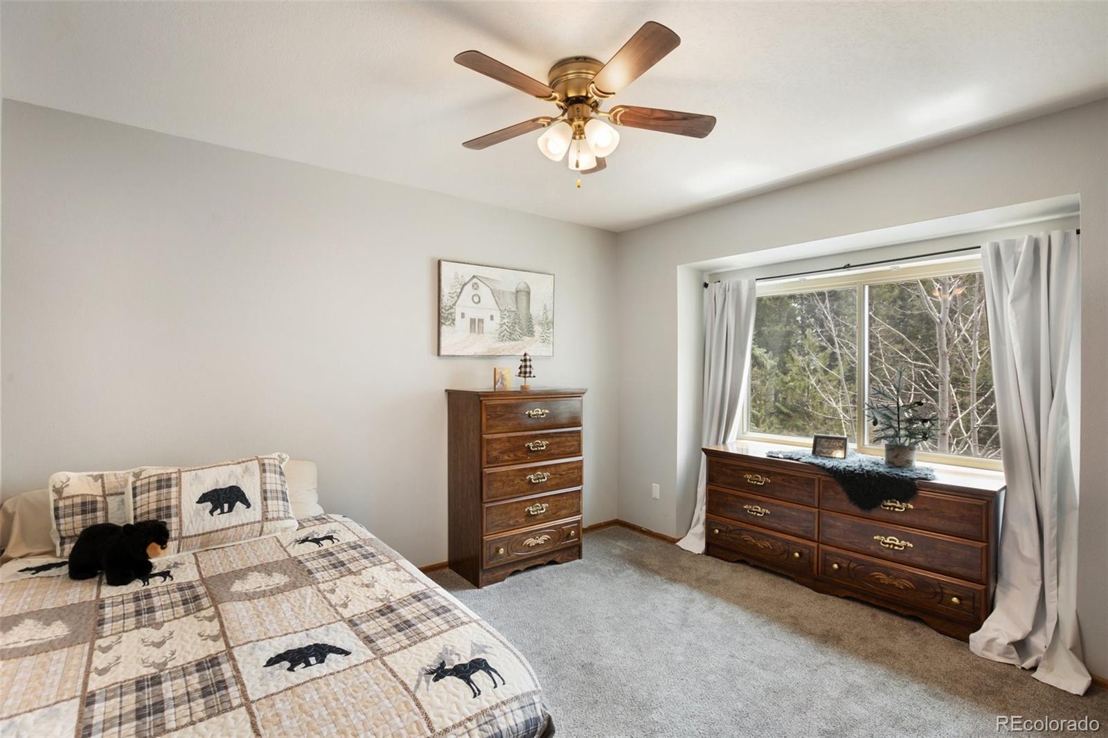 MLS Image #16 for 120  red rock court,woodland park, Colorado