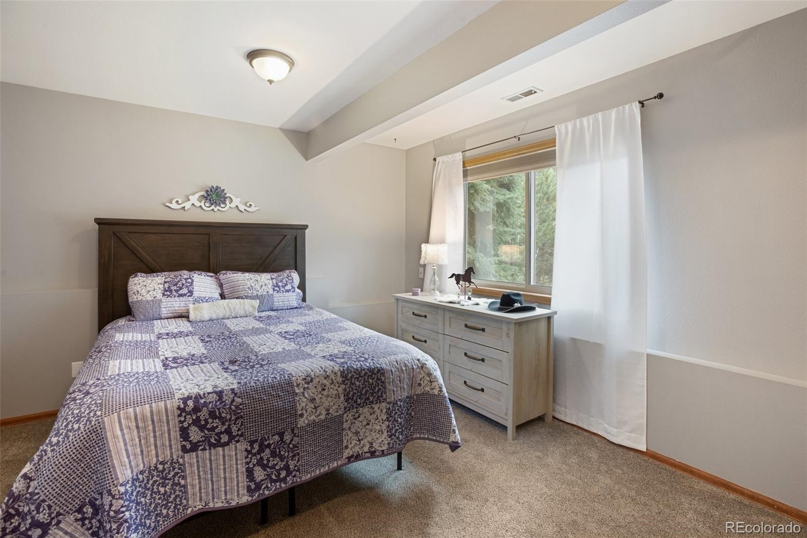MLS Image #20 for 120  red rock court,woodland park, Colorado