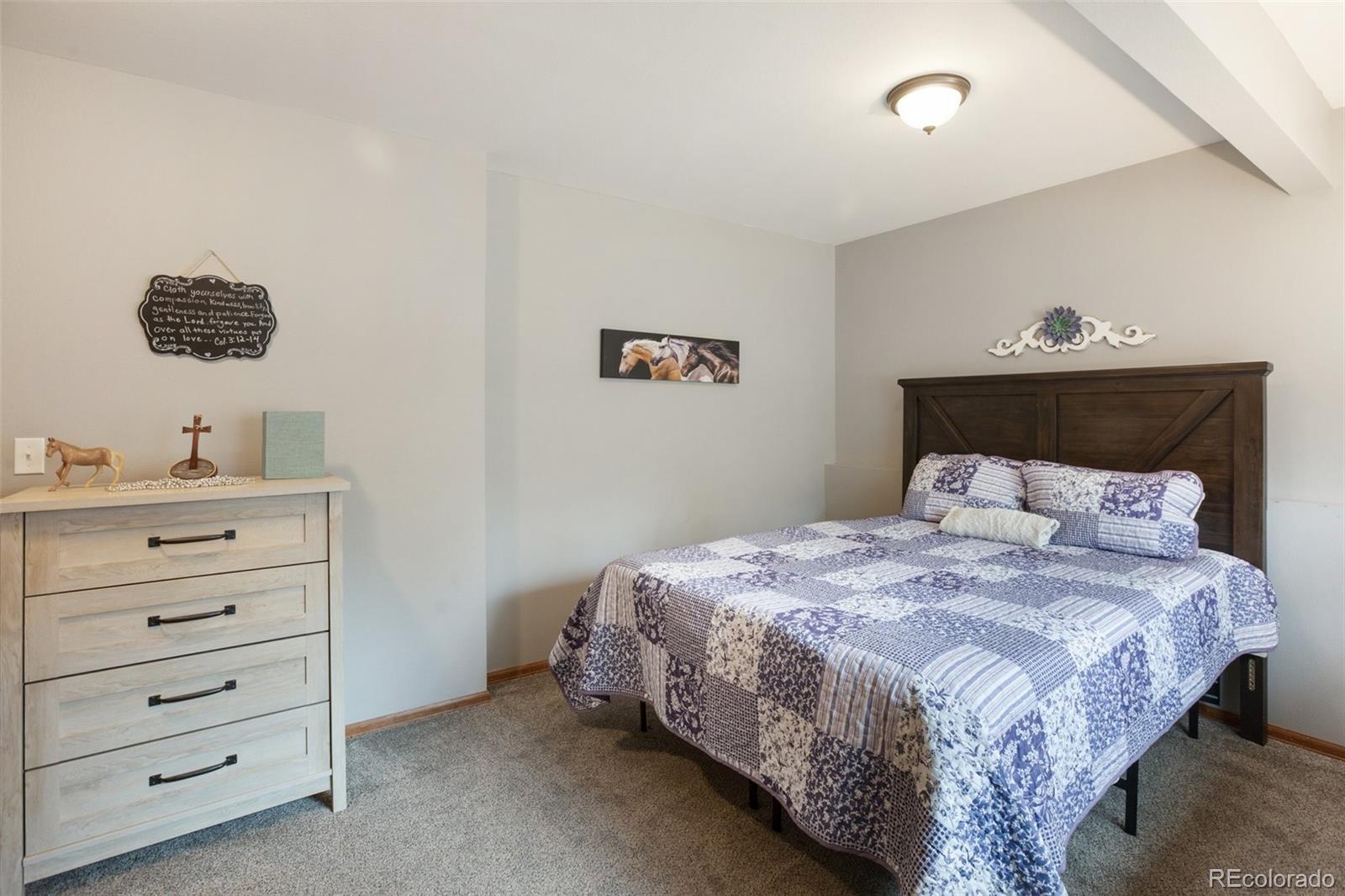 MLS Image #21 for 120  red rock court,woodland park, Colorado