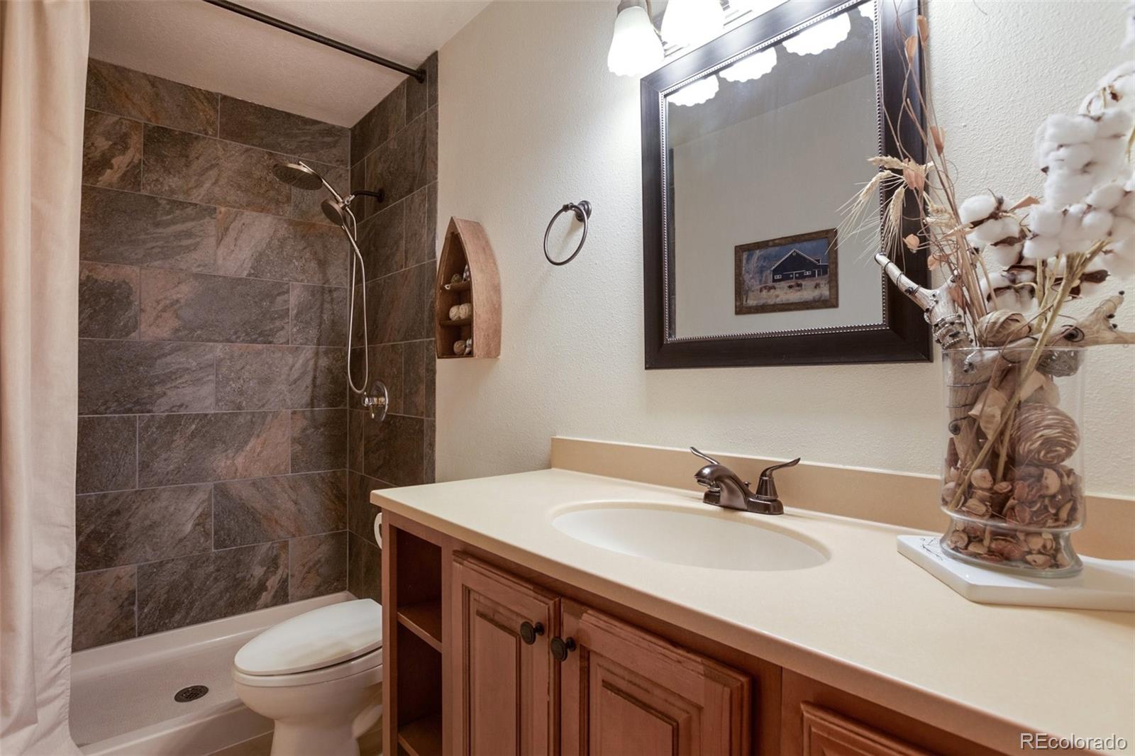 MLS Image #5 for 120  red rock court,woodland park, Colorado