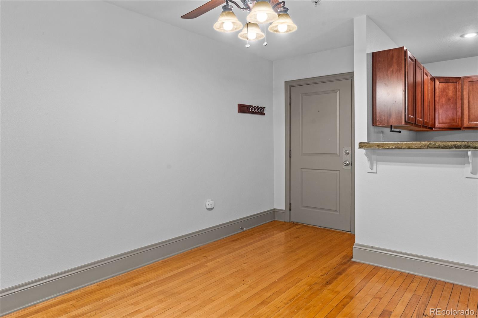MLS Image #11 for 3211  zuni street,denver, Colorado