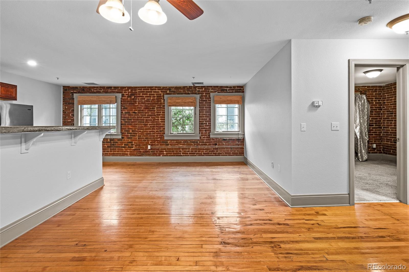 MLS Image #13 for 3211  zuni street,denver, Colorado