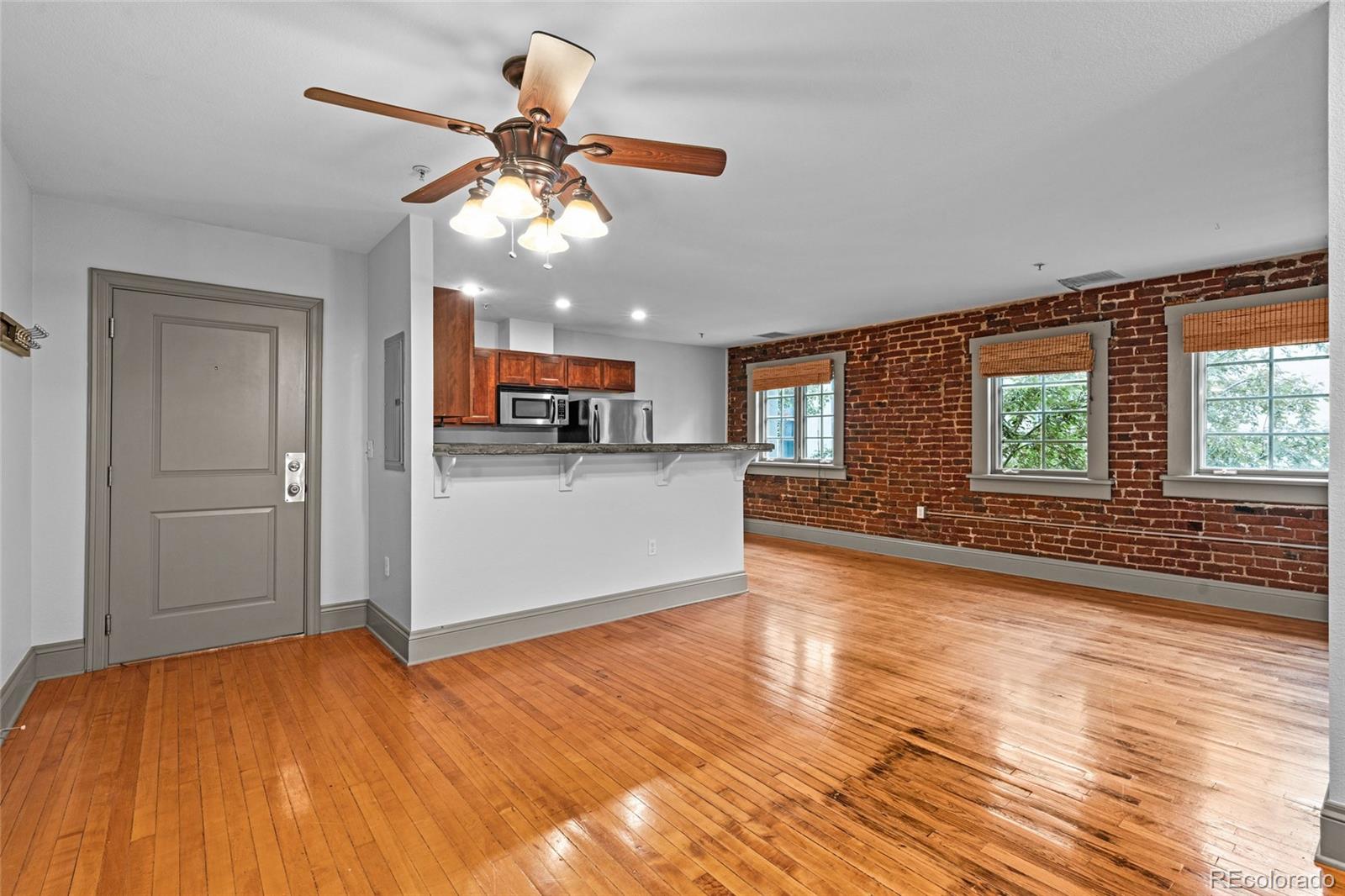 MLS Image #14 for 3211  zuni street,denver, Colorado
