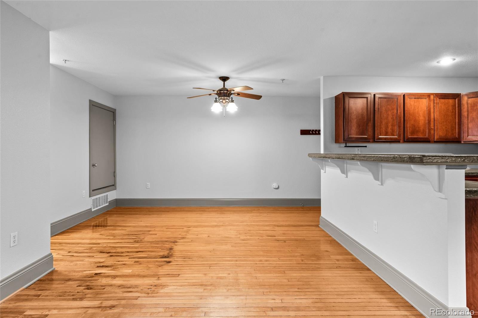 MLS Image #15 for 3211  zuni street,denver, Colorado