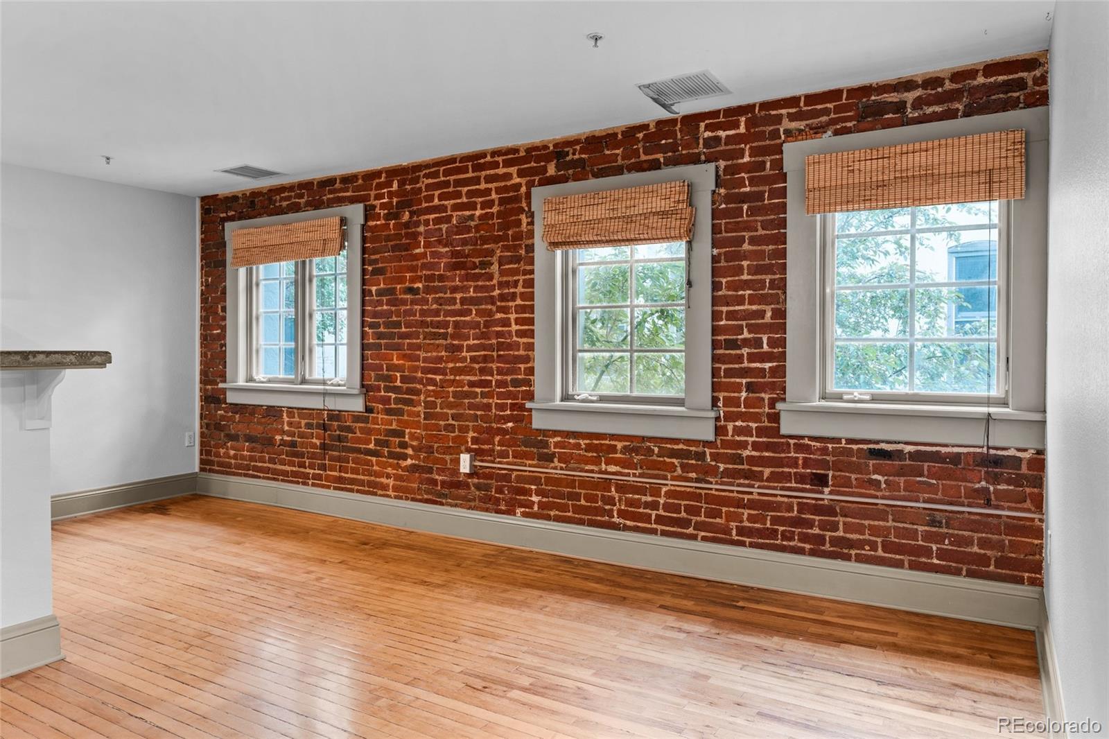 MLS Image #17 for 3211  zuni street,denver, Colorado
