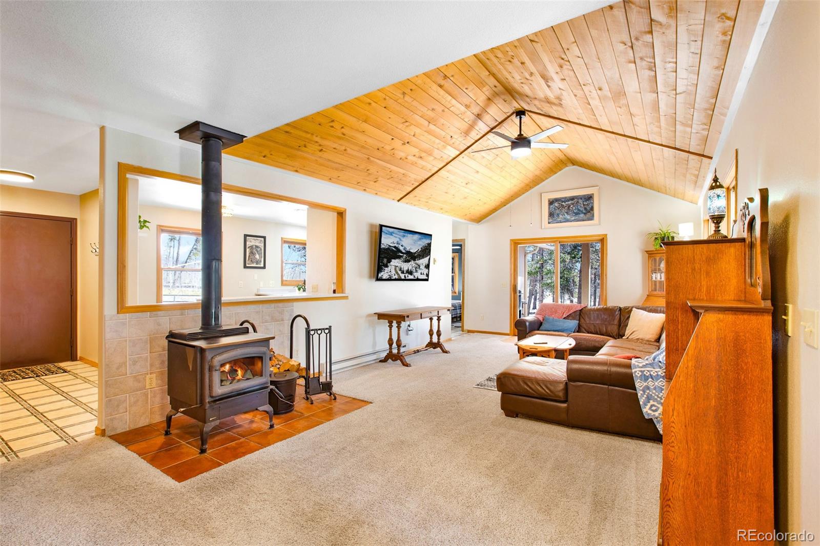 MLS Image #1 for 757  thompson park road,fairplay, Colorado