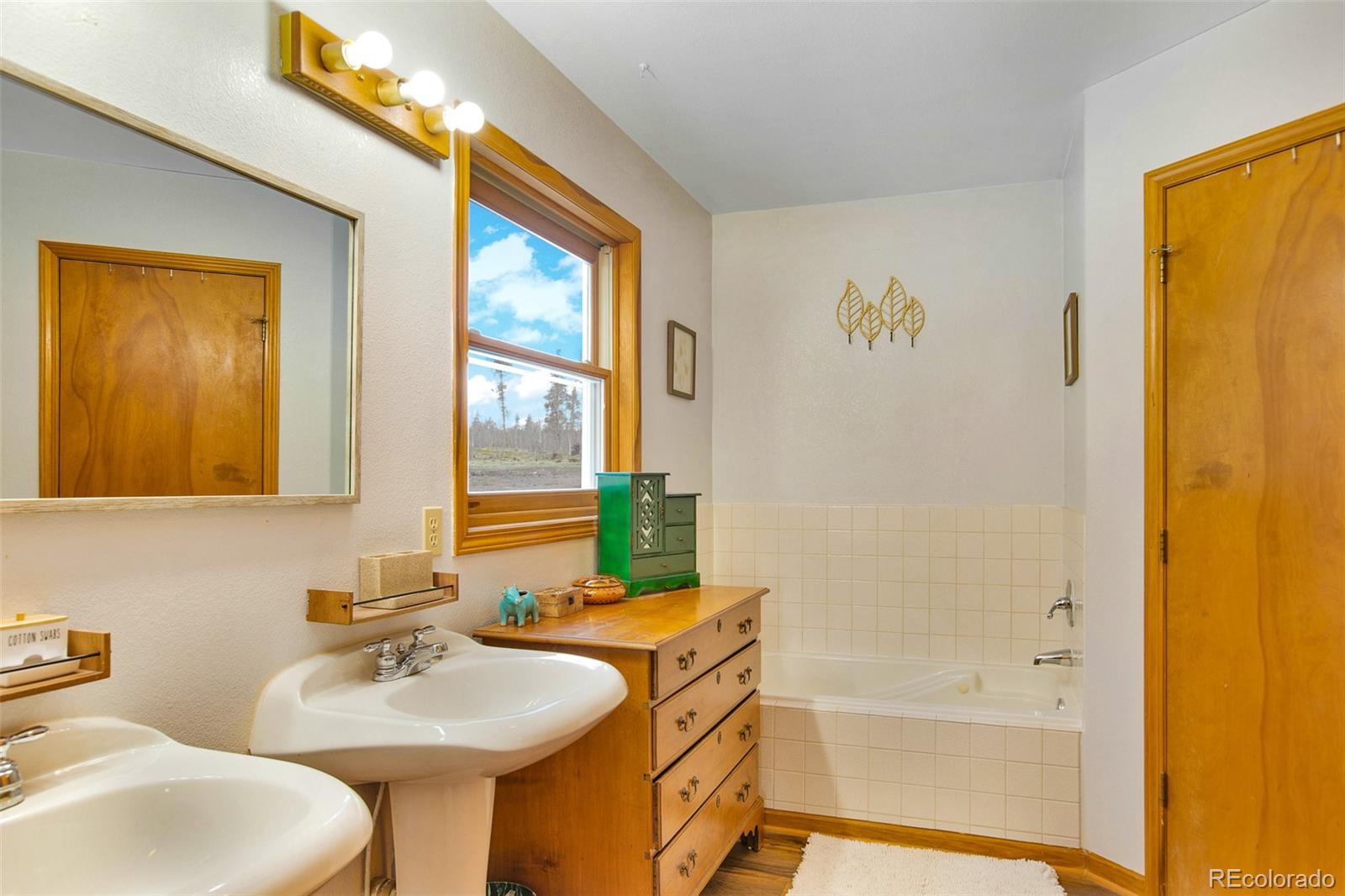MLS Image #10 for 757  thompson park road,fairplay, Colorado