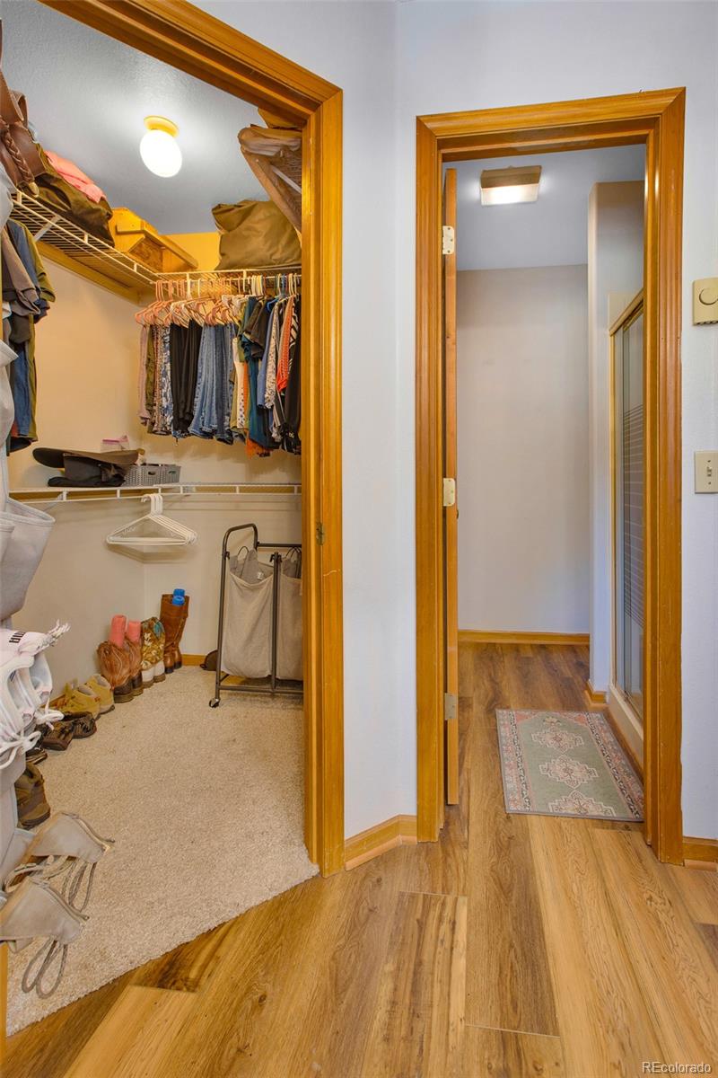 MLS Image #11 for 757  thompson park road,fairplay, Colorado