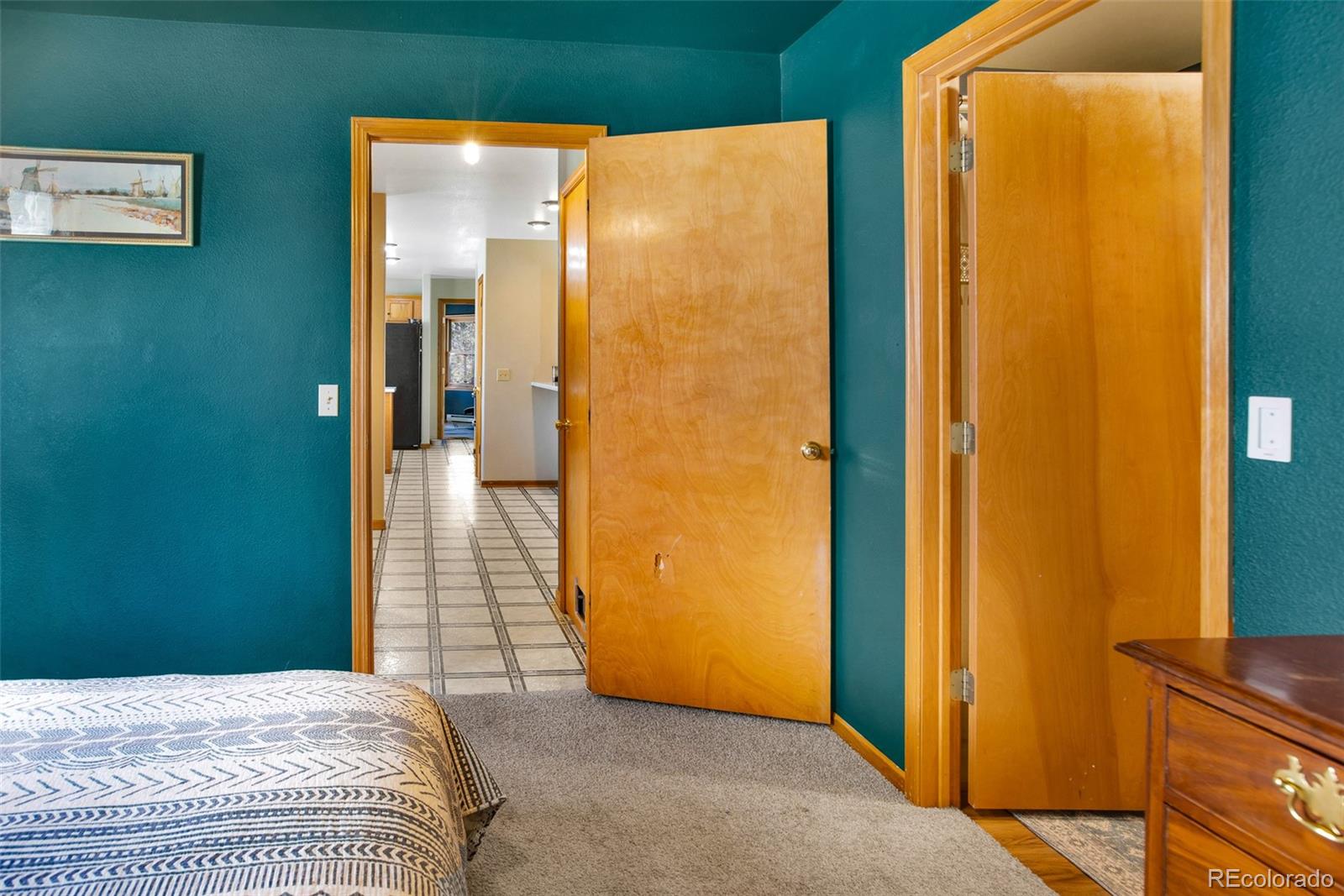 MLS Image #15 for 757  thompson park road,fairplay, Colorado