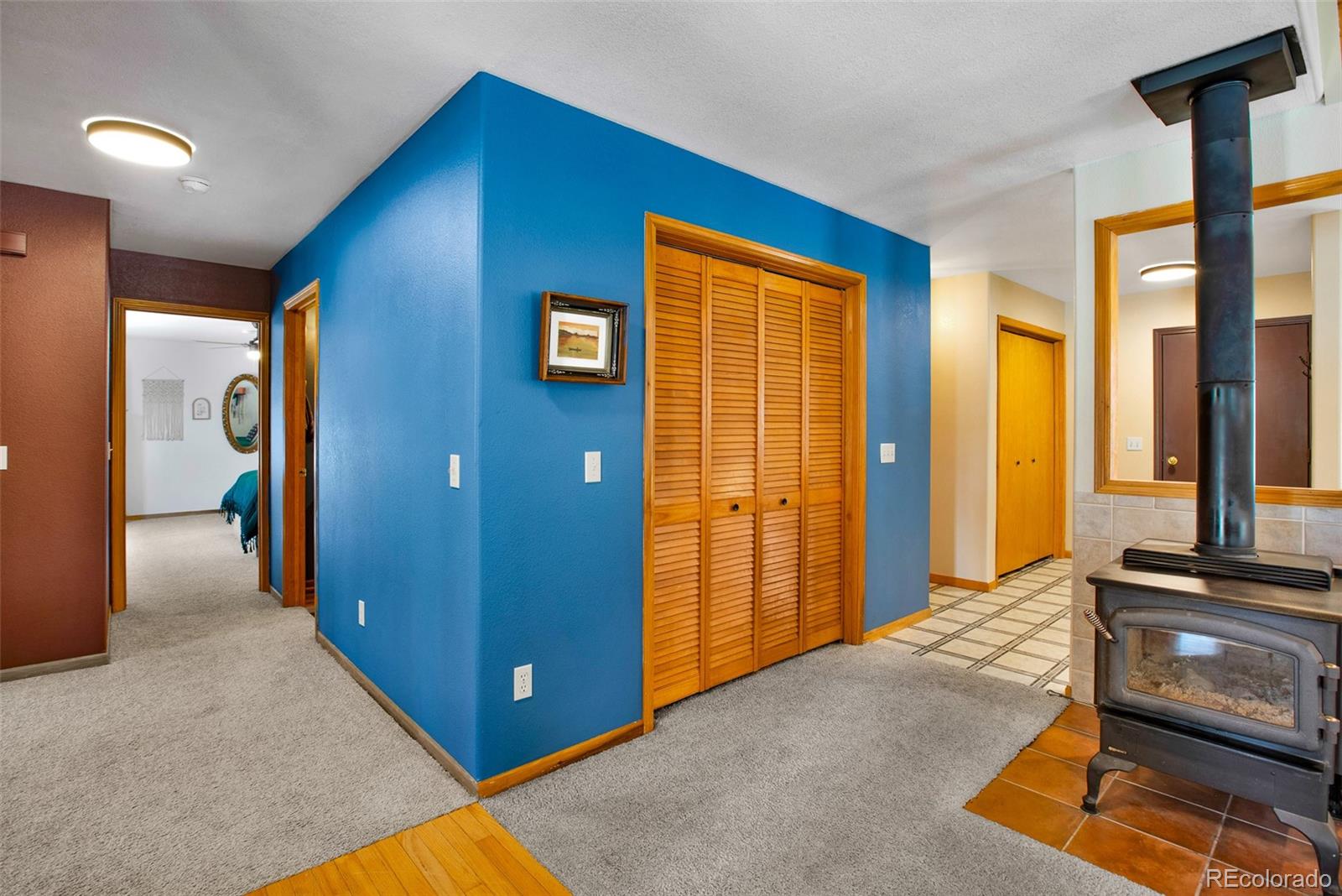 MLS Image #16 for 757  thompson park road,fairplay, Colorado