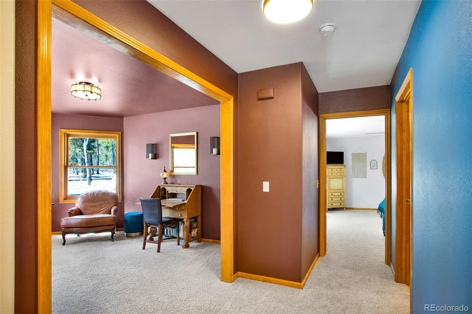 MLS Image #17 for 757  thompson park road,fairplay, Colorado