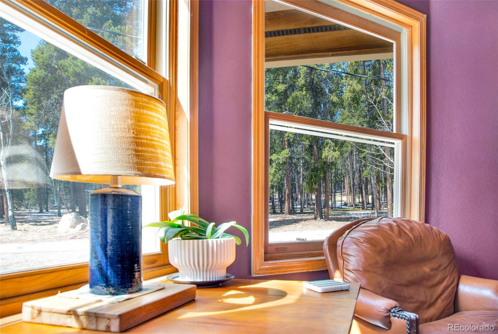 MLS Image #19 for 757  thompson park road,fairplay, Colorado